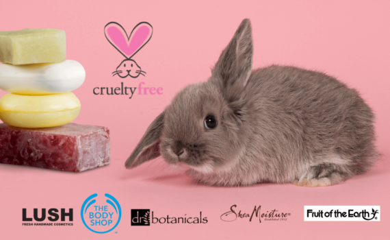 BRANDS IN THE WORLD WHO ARE CRUELTY-FREE